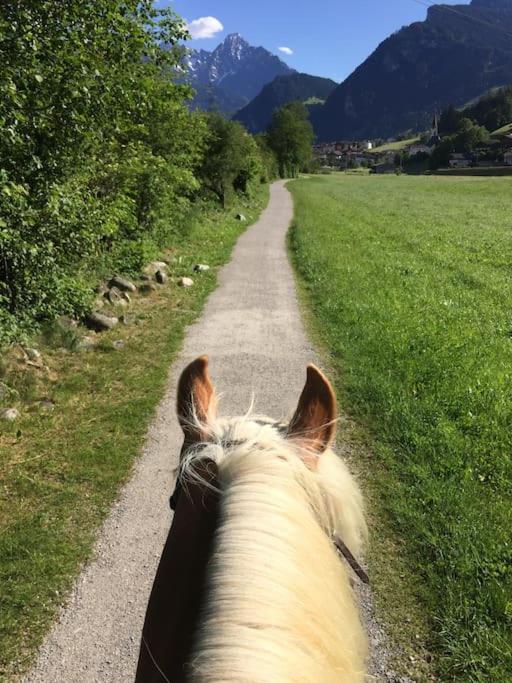 Ferienhaus Zillertal Panorama Blick Balkon Sauna Zellberg ภายนอก รูปภาพ